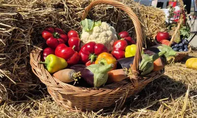 Финансирование переработки румынских продуктов: можно получить даже фургон для еды. Условия участия