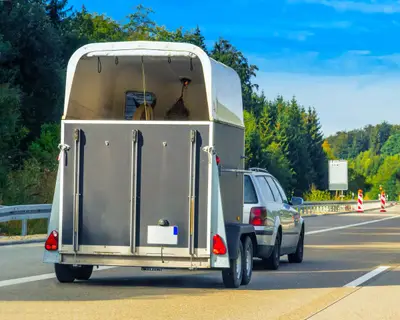 Прицеп с лошадьми перевернулся на S8