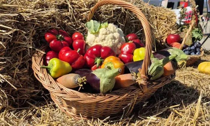 Финансирование переработки румынских продуктов: можно получить даже фургон для еды. Условия участия